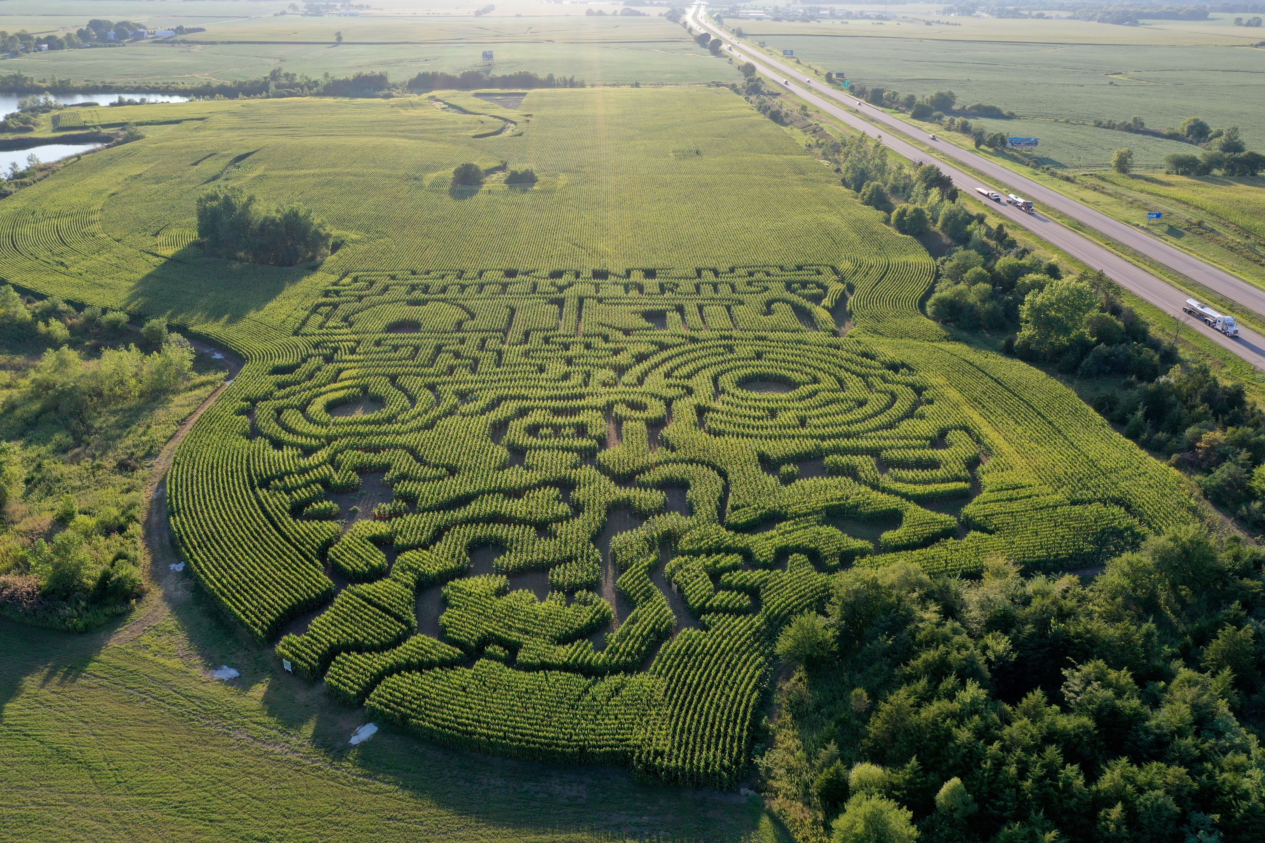 A giant corn maze snakes through the back of Kane Family Farms on Tuesday, Sept. 6, 2022 near Ottawa. 